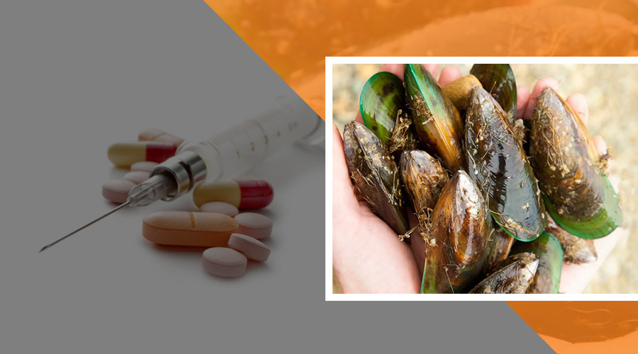 Green Lipped Mussel Extract vs Disease-Modifying Anti-Rheumatic Drugs for Arthtitis