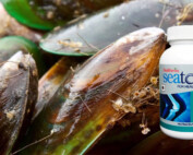 Can Green Lipped Mussel Extract be combined with other Arthritis Medications?