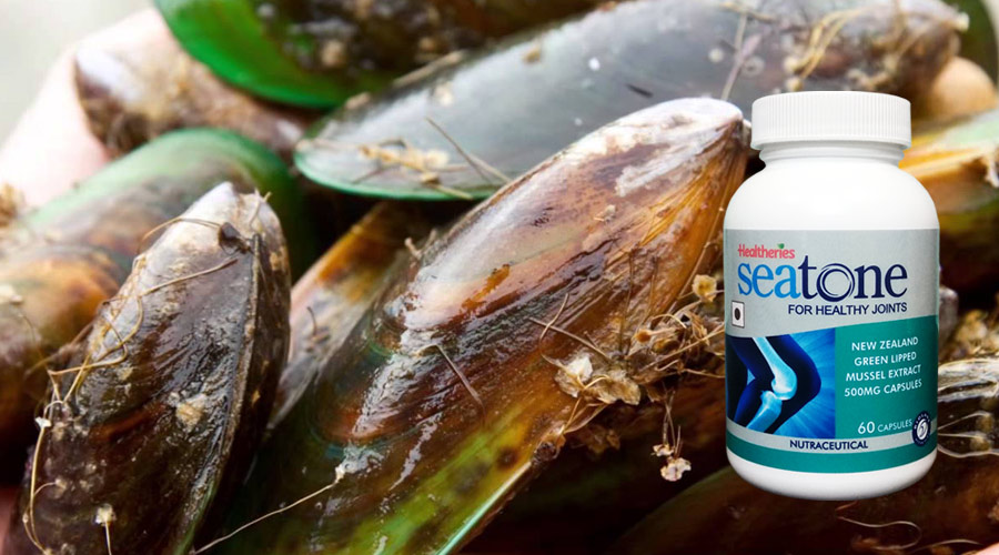 Can Green Lipped Mussel Extract be combined with other Arthritis Medications?